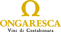 Logo-PNG