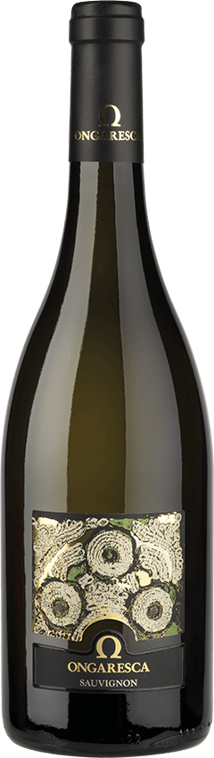 Sauvignon